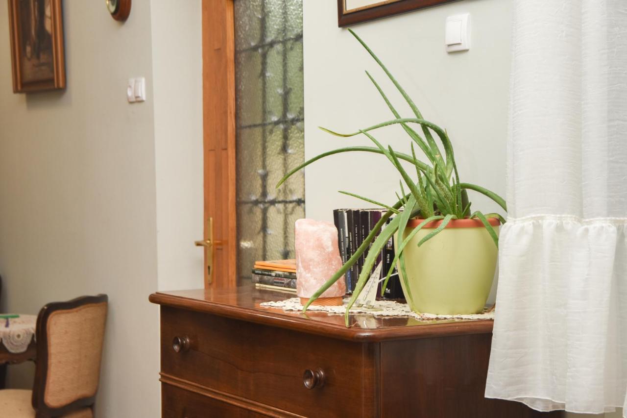 Apartman Woolf Senta エクステリア 写真